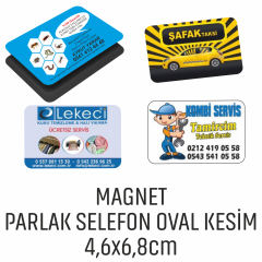 OVAL  KESİM MAGNET